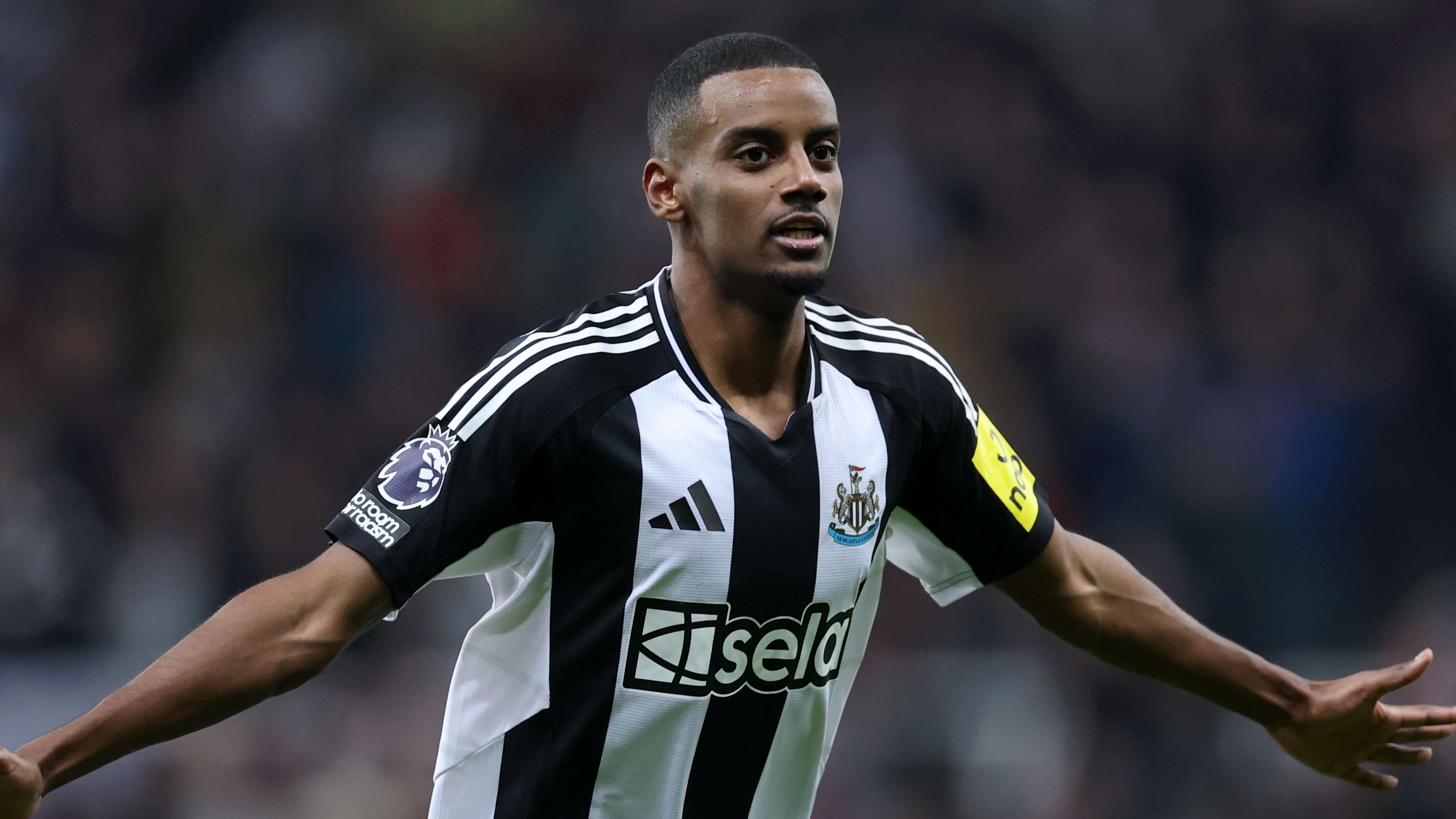 仅是竞技的 仅是竞技的